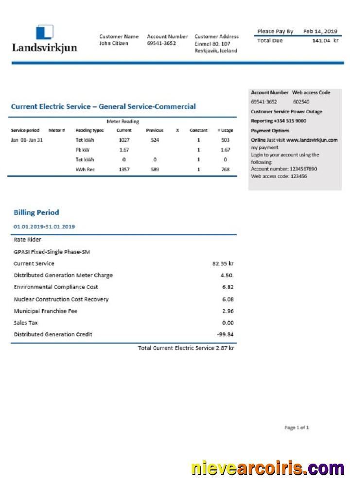 Iceland National Power Company of Iceland Landsvirkjun electricity utility bill